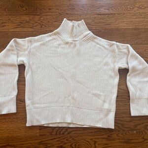 Everlane Organic Cotton Ribbed Turtleneck